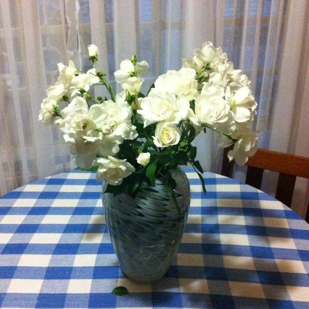 renerefski.bsky.social's profile picture