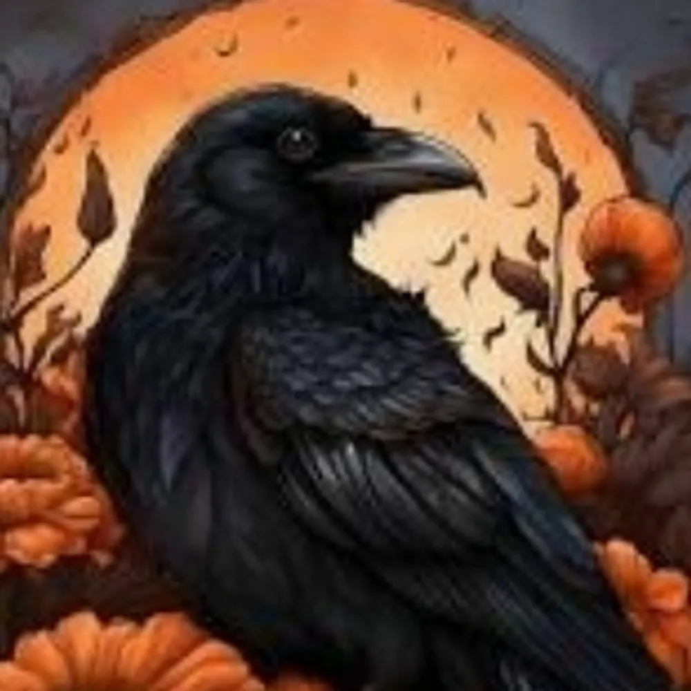 niborobin.bsky.social's profile picture