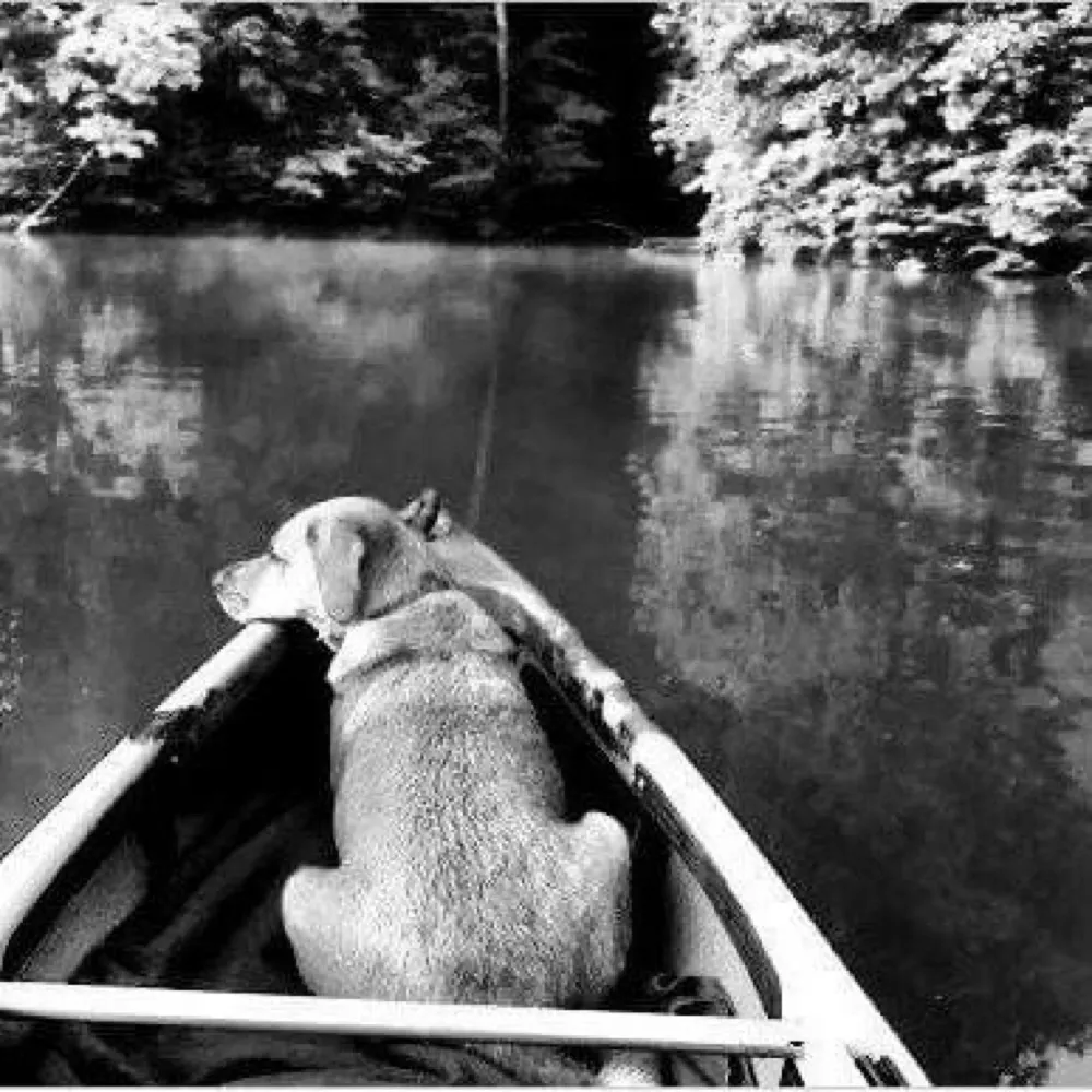 labmaster.bsky.social's profile picture