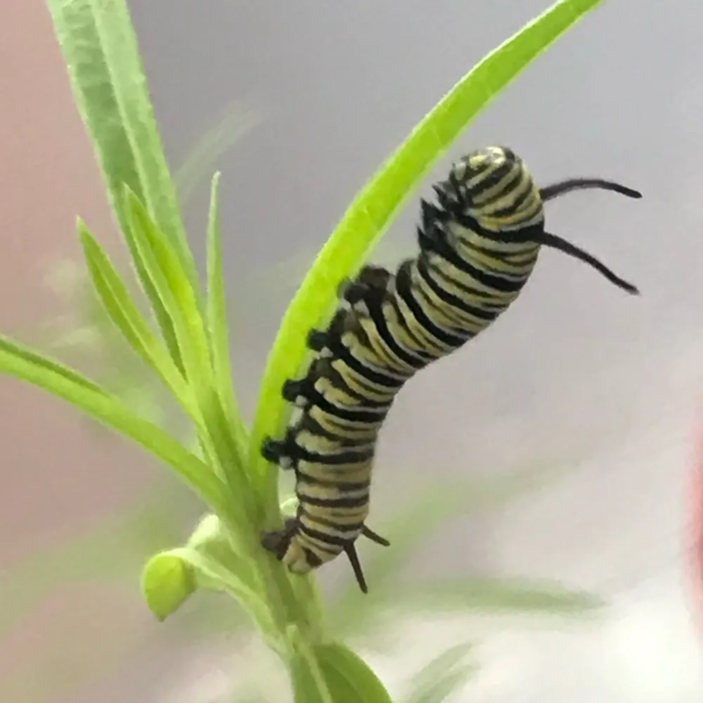 lindy690.bsky.social's profile picture