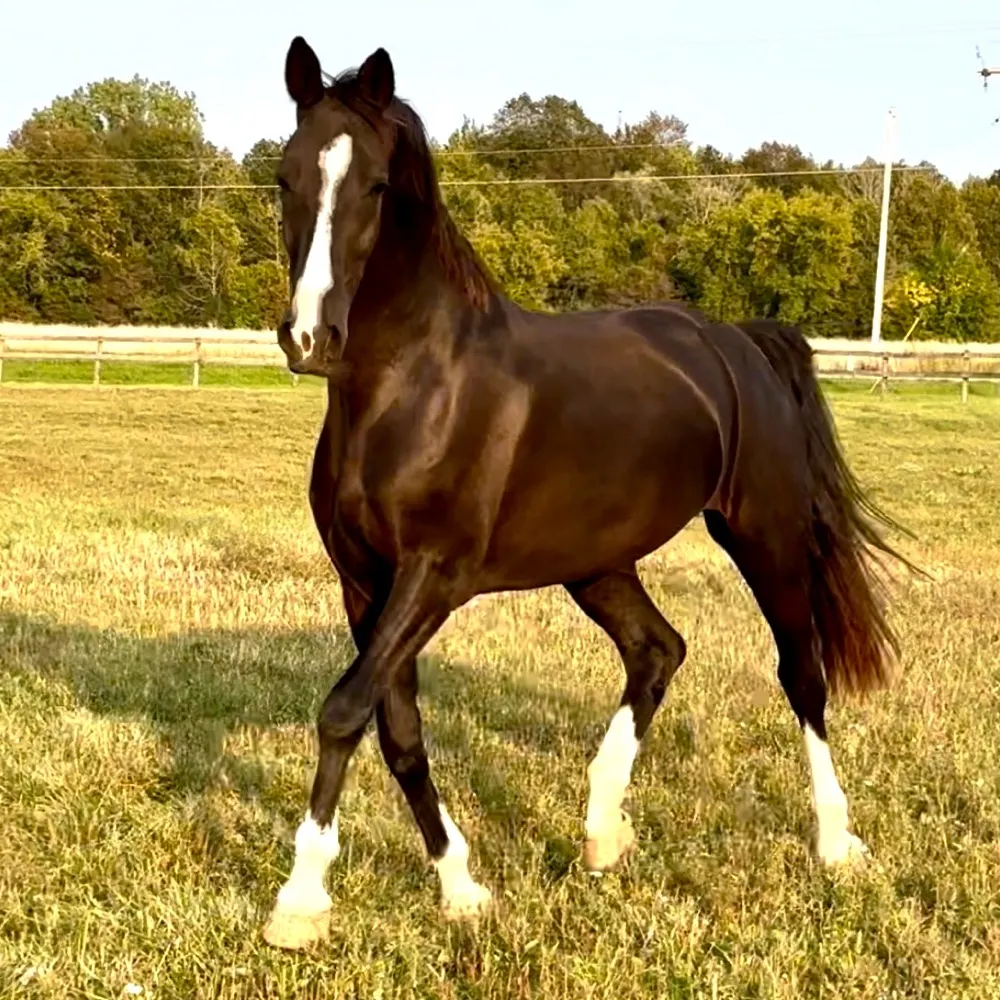 flashy97.bsky.social's profile picture