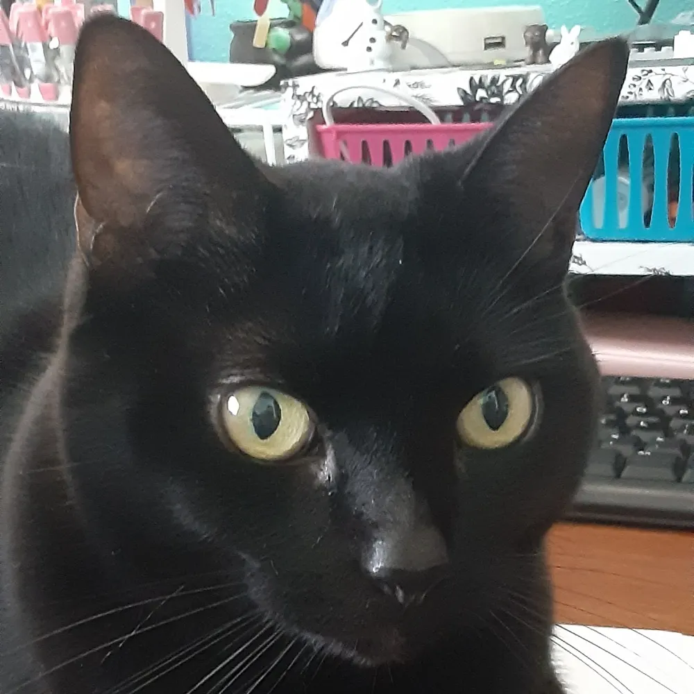 laura-atkinson.bsky.social's profile picture