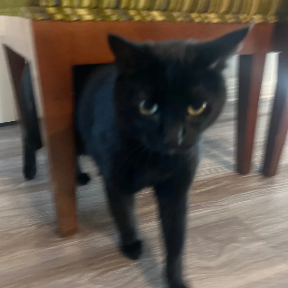 jungkafka.bsky.social's profile picture