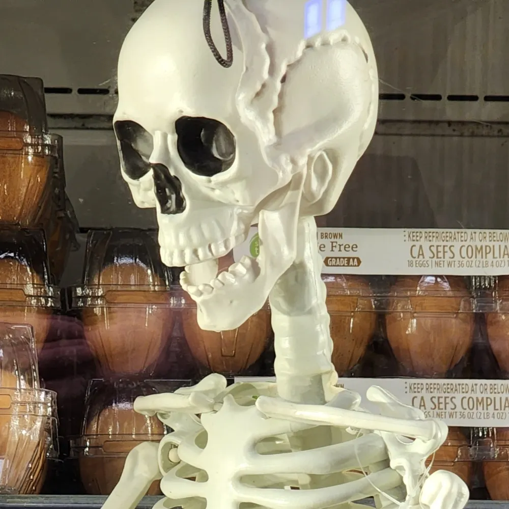 steviedelmar.bsky.social's profile picture