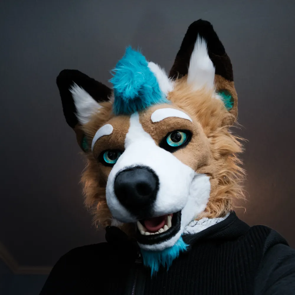 yote.gay's profile picture