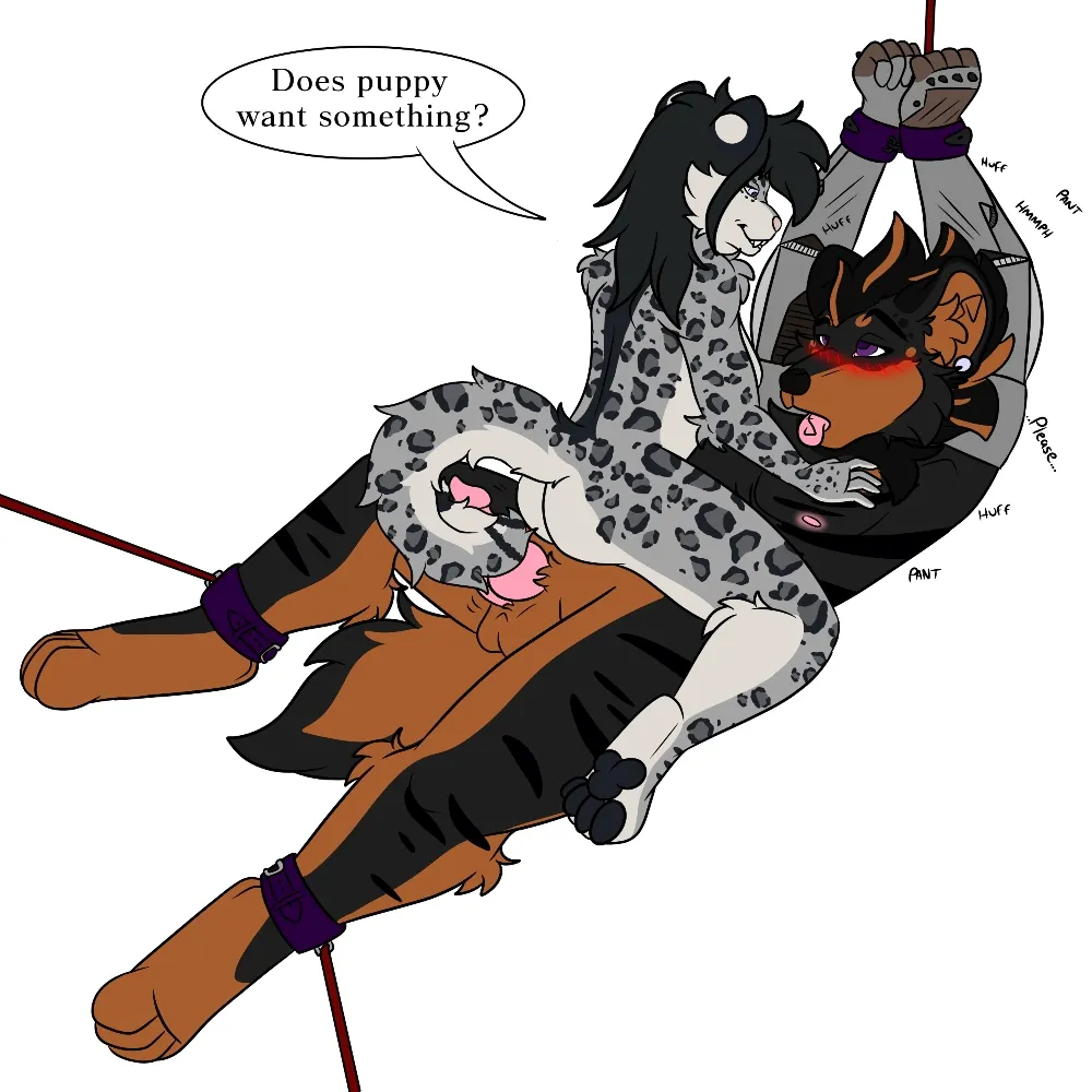 gnasherbigchomps.bsky.social's profile picture