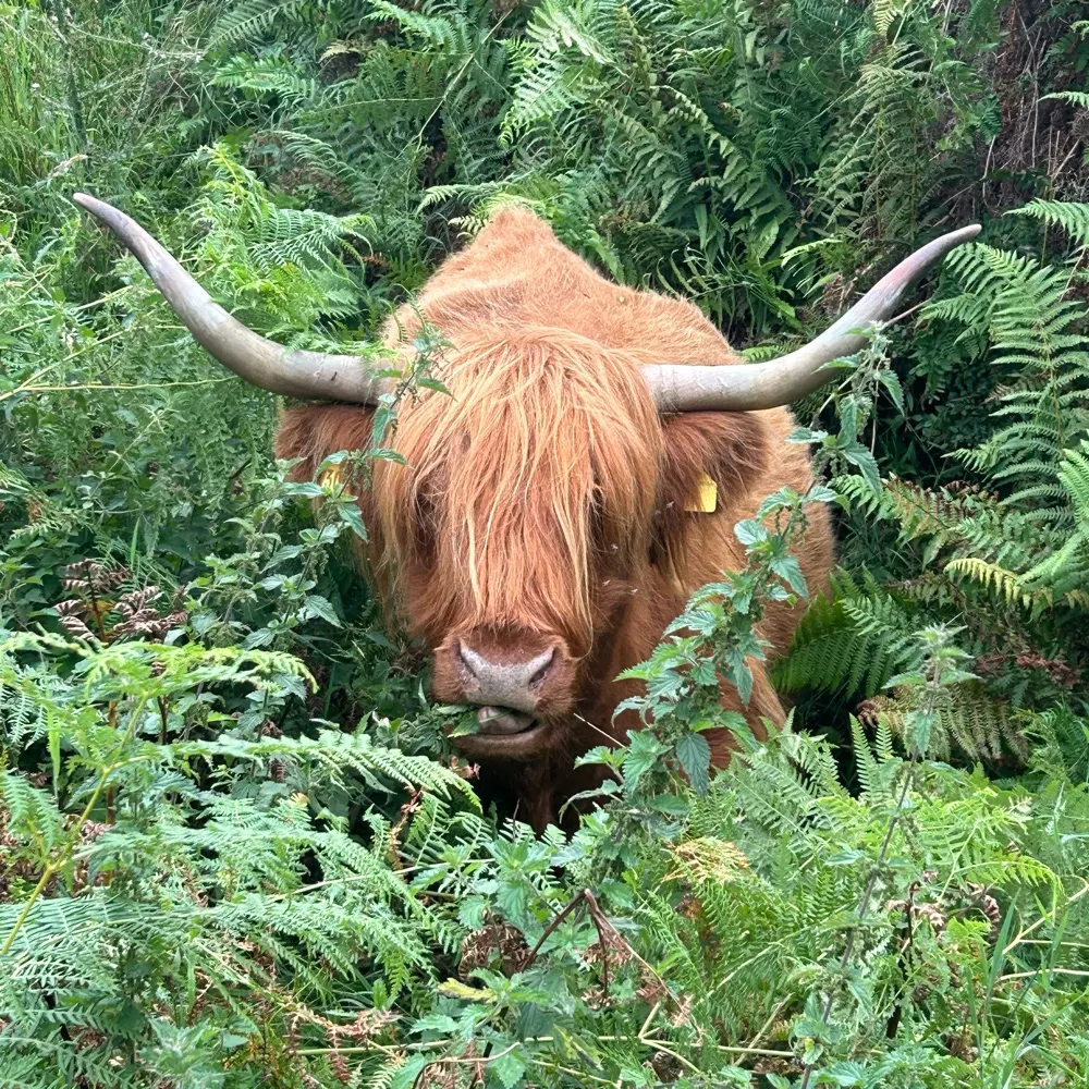 lordvictor60.bsky.social's profile picture