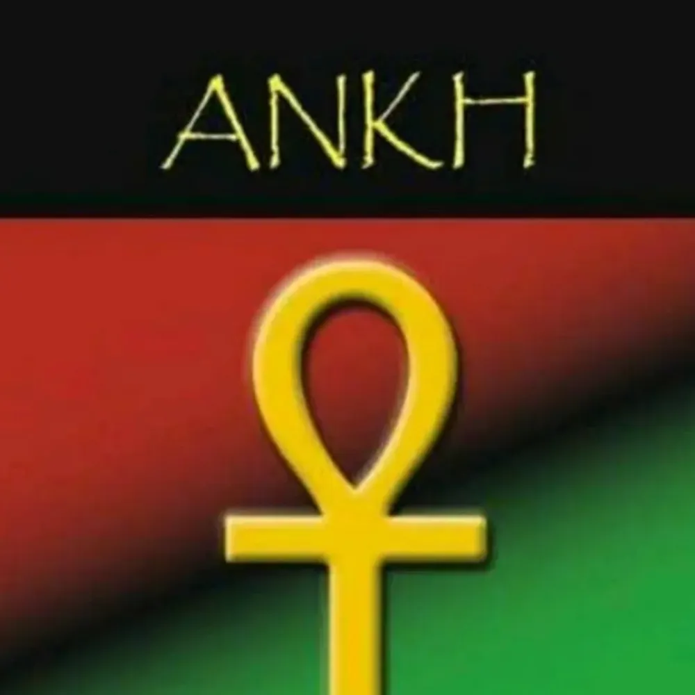 aminah1.bsky.social's profile picture