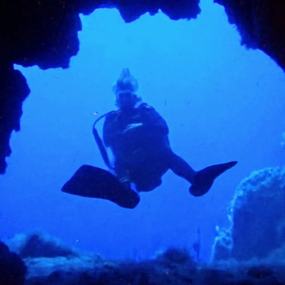 indytherealone.bsky.social's profile picture