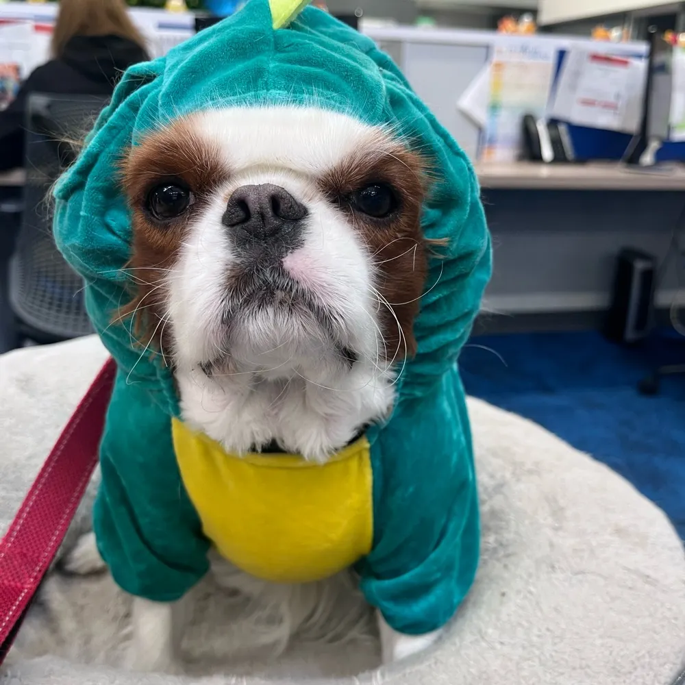 one-ill.bsky.social's profile picture