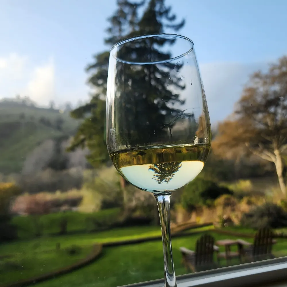 petuniapirate.bsky.social's profile picture