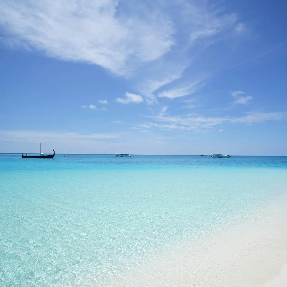 sheckydoskie.bsky.social's profile picture