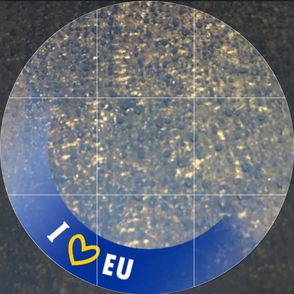 ufichte.bsky.social's profile picture