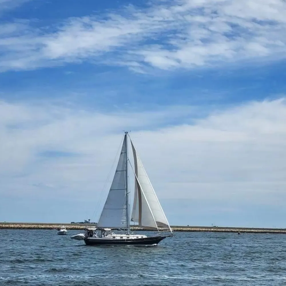 lynne-sails.bsky.social's profile picture