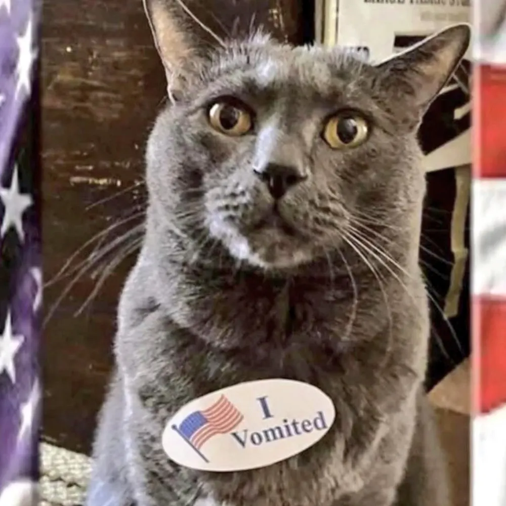 robingilbert.bsky.social's profile picture