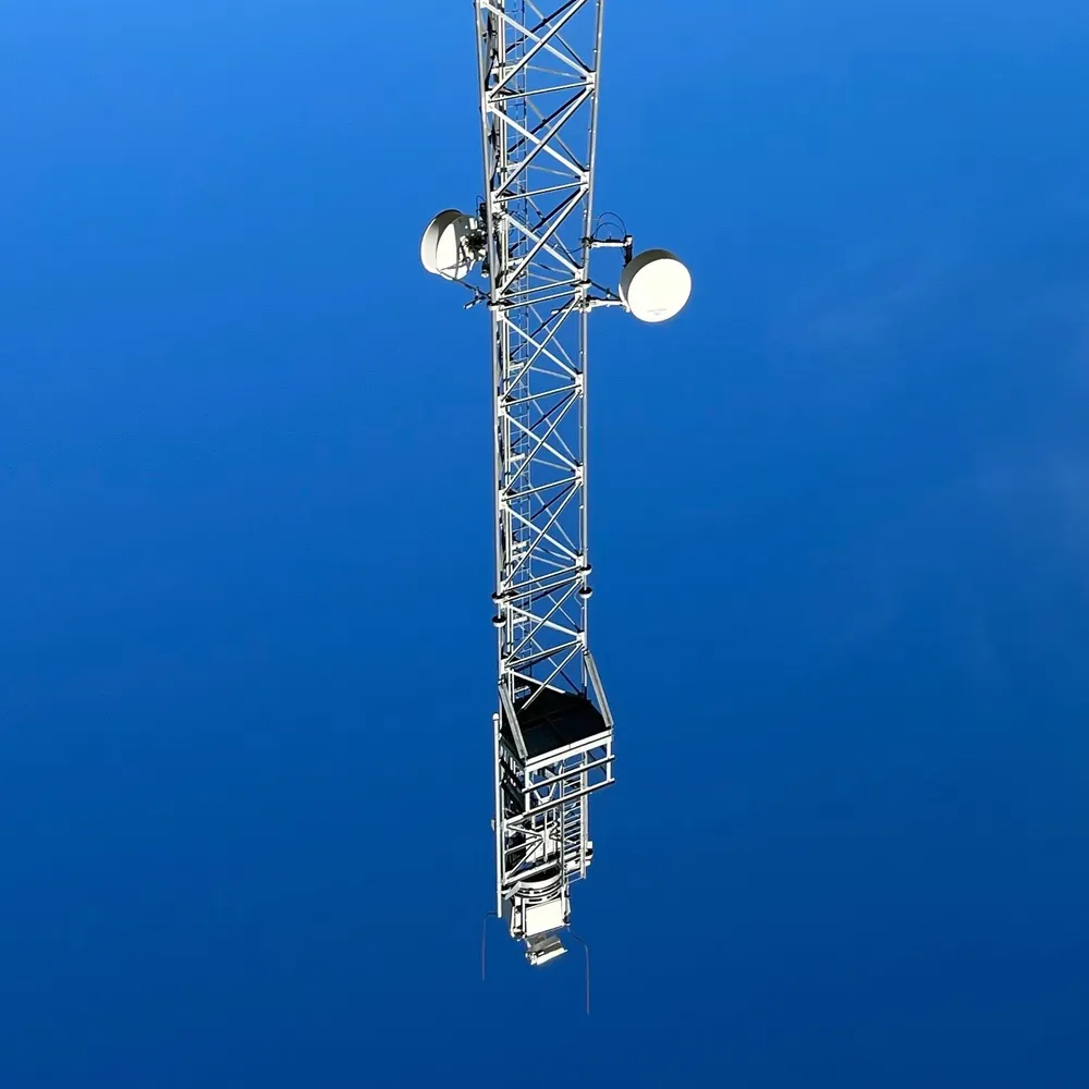 simulatedchollas.bsky.social's profile picture