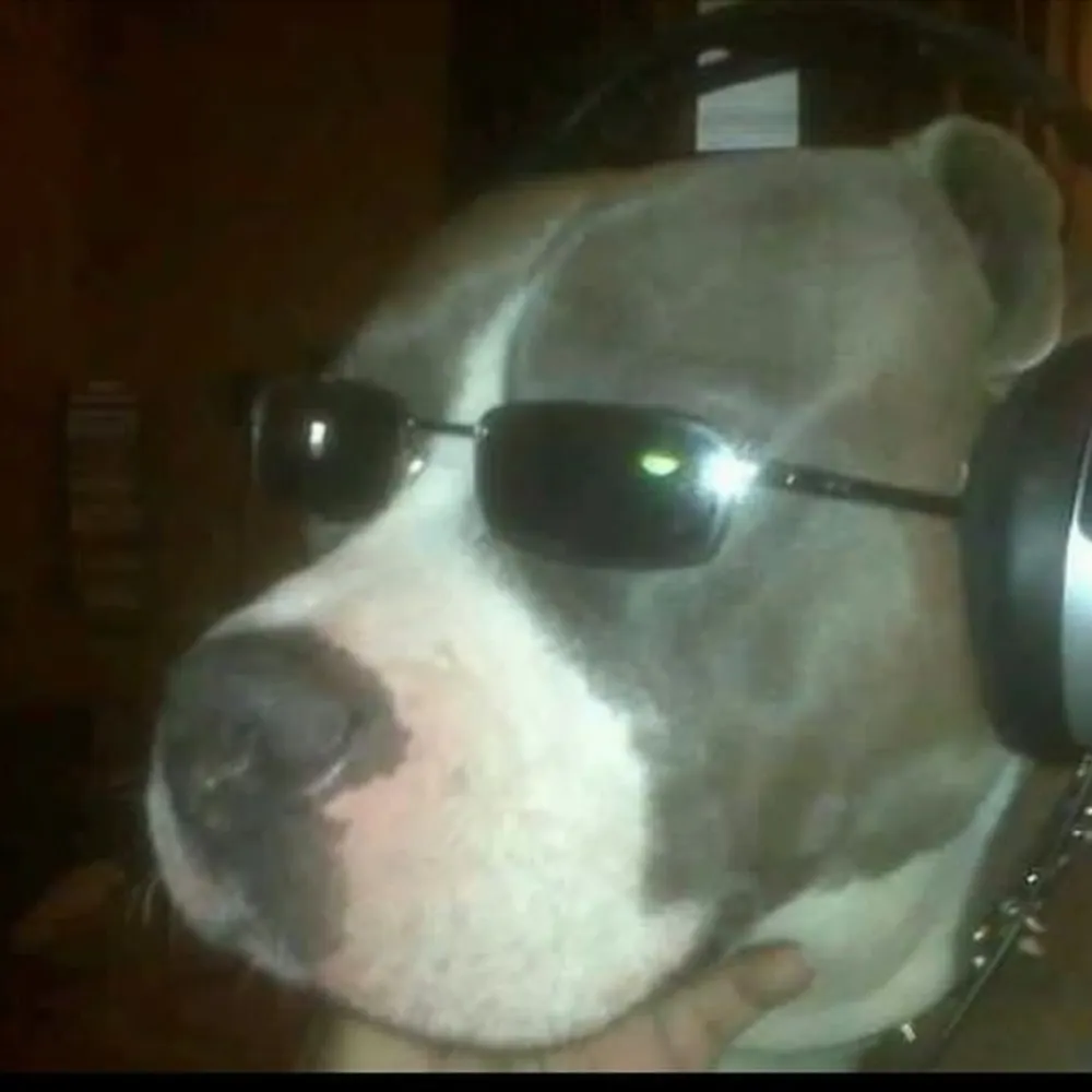 zenroquazi.bsky.social's profile picture