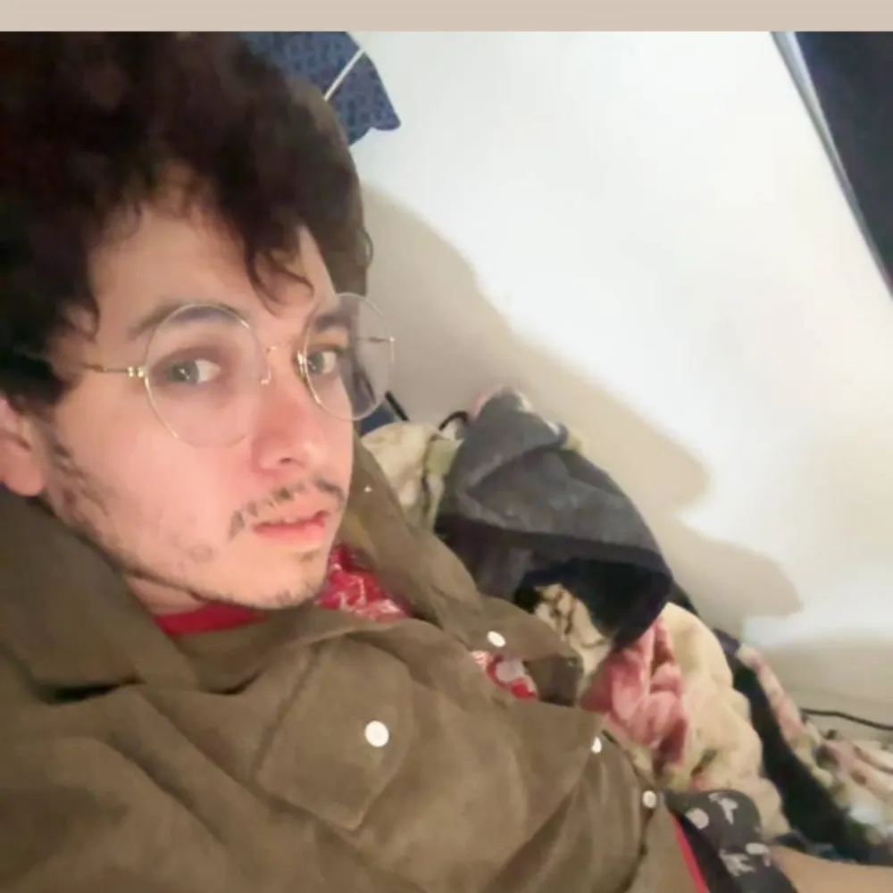 smilodeer.bsky.social's profile picture