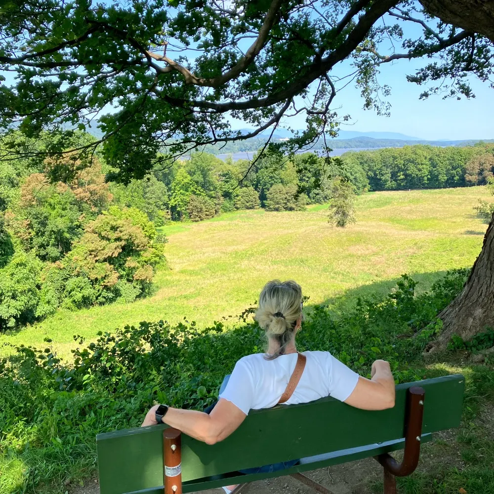 sarid.bsky.social's profile picture