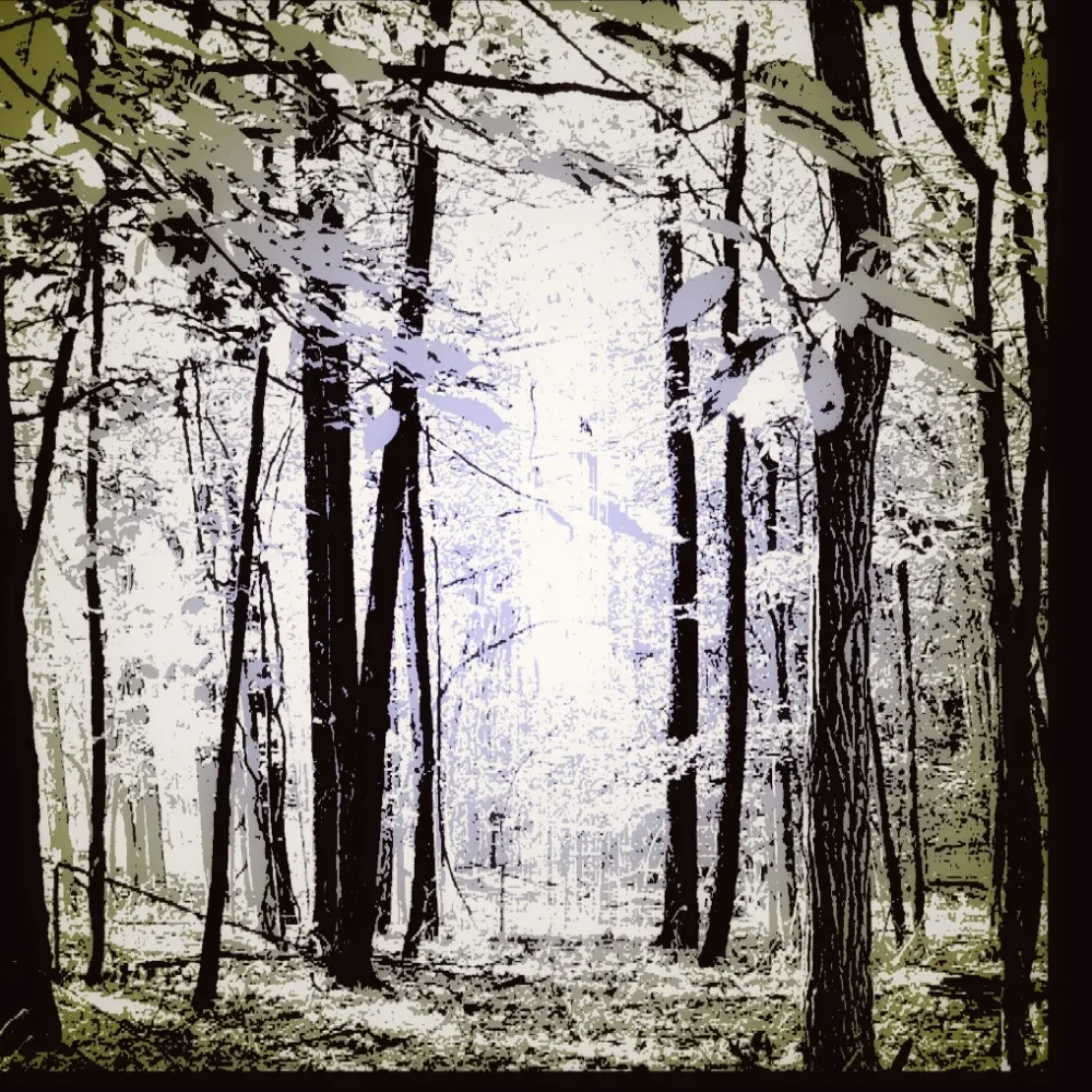 bertch313.bsky.social's profile picture