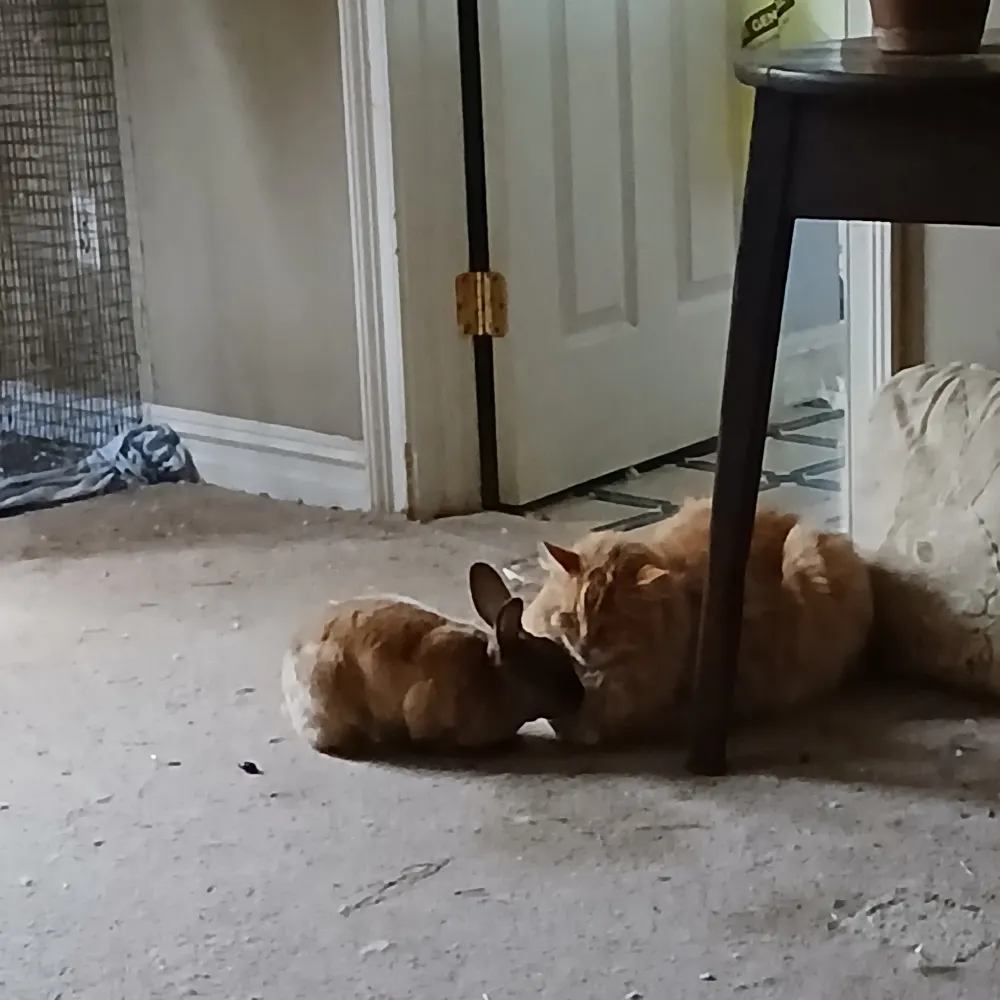 whenprovoked.bsky.social's profile picture