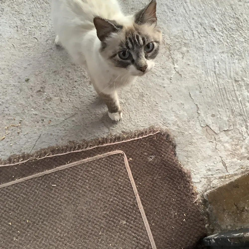 phoebe1313.bsky.social's profile picture