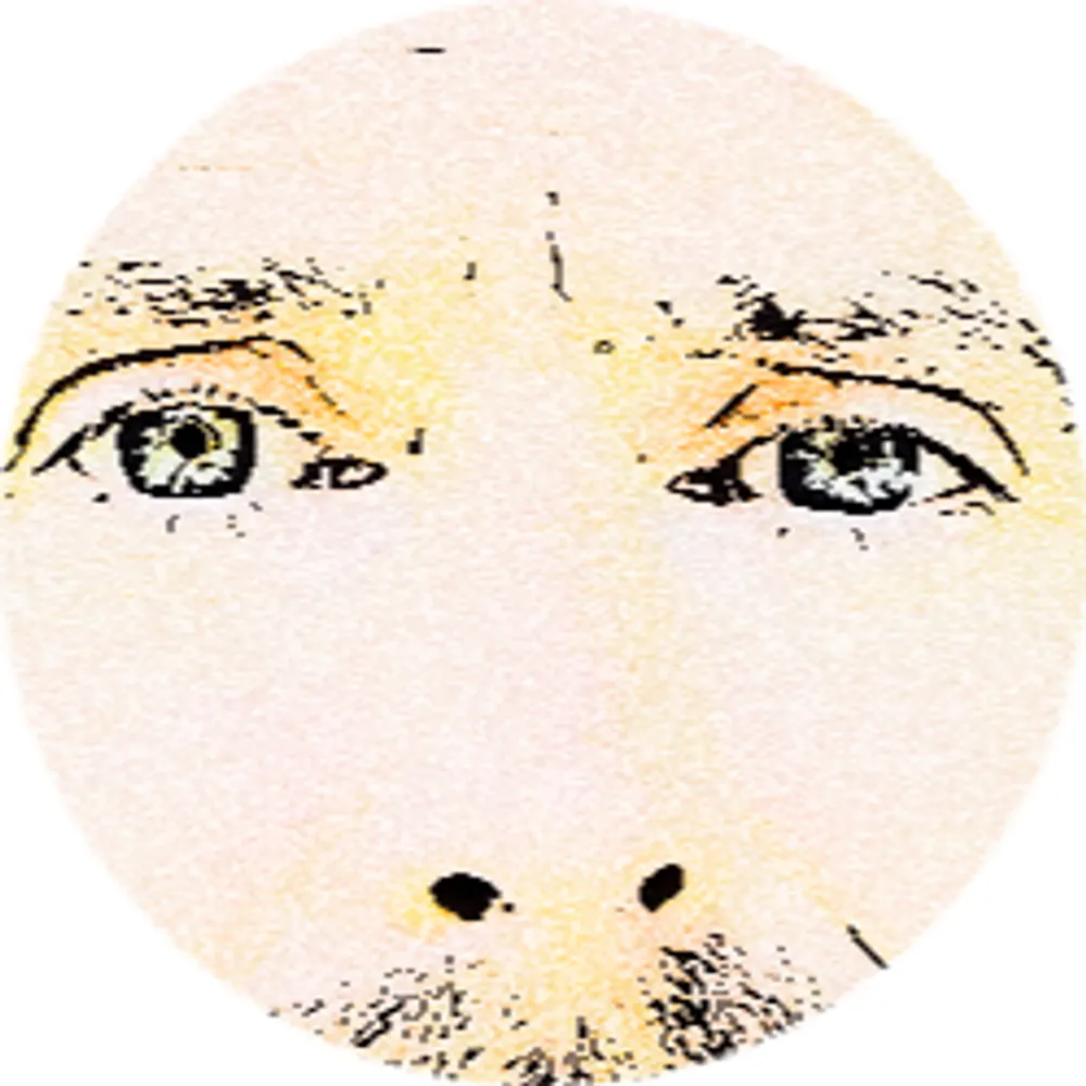 ikbenmabo.bsky.social's profile picture