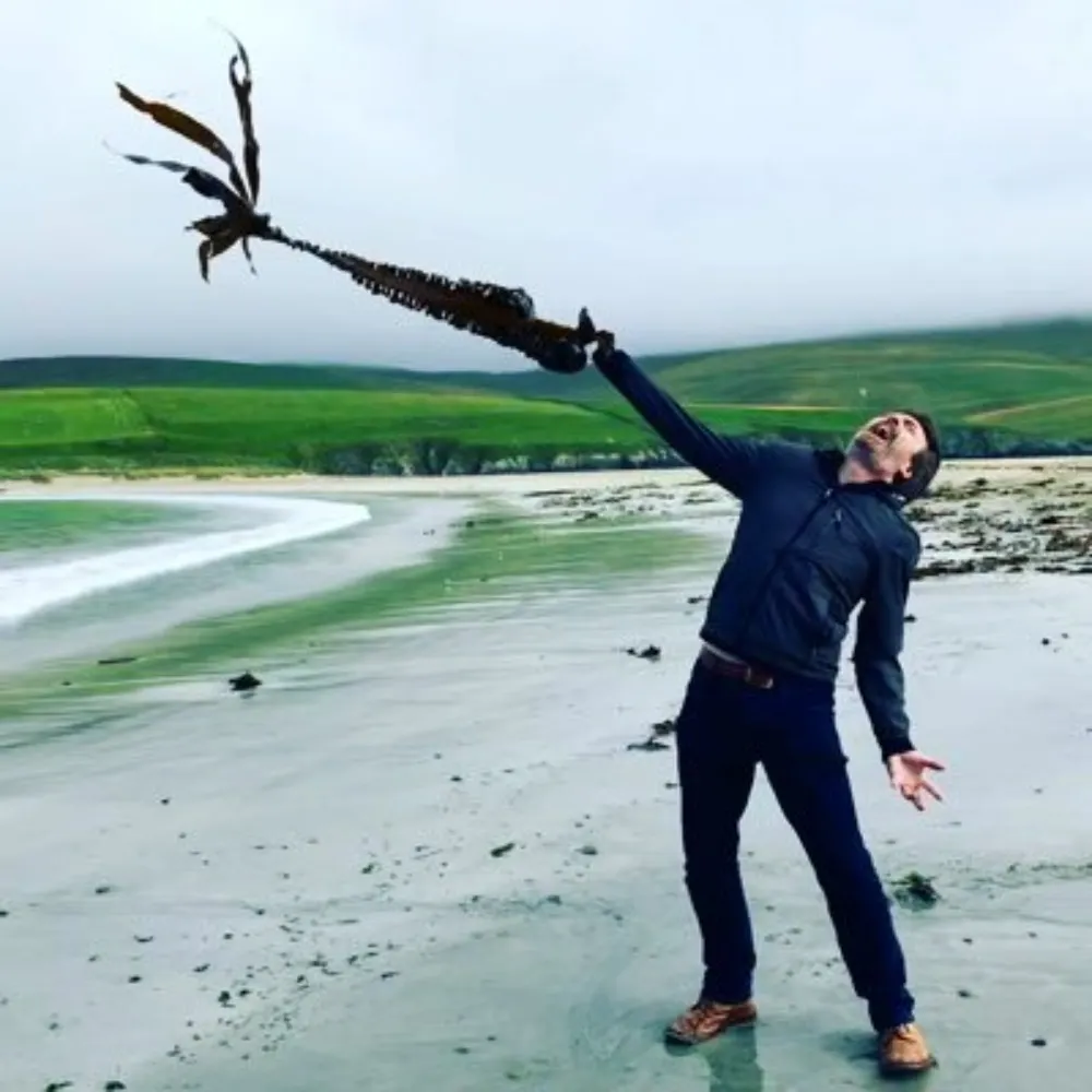 scsheil.bsky.social's profile picture