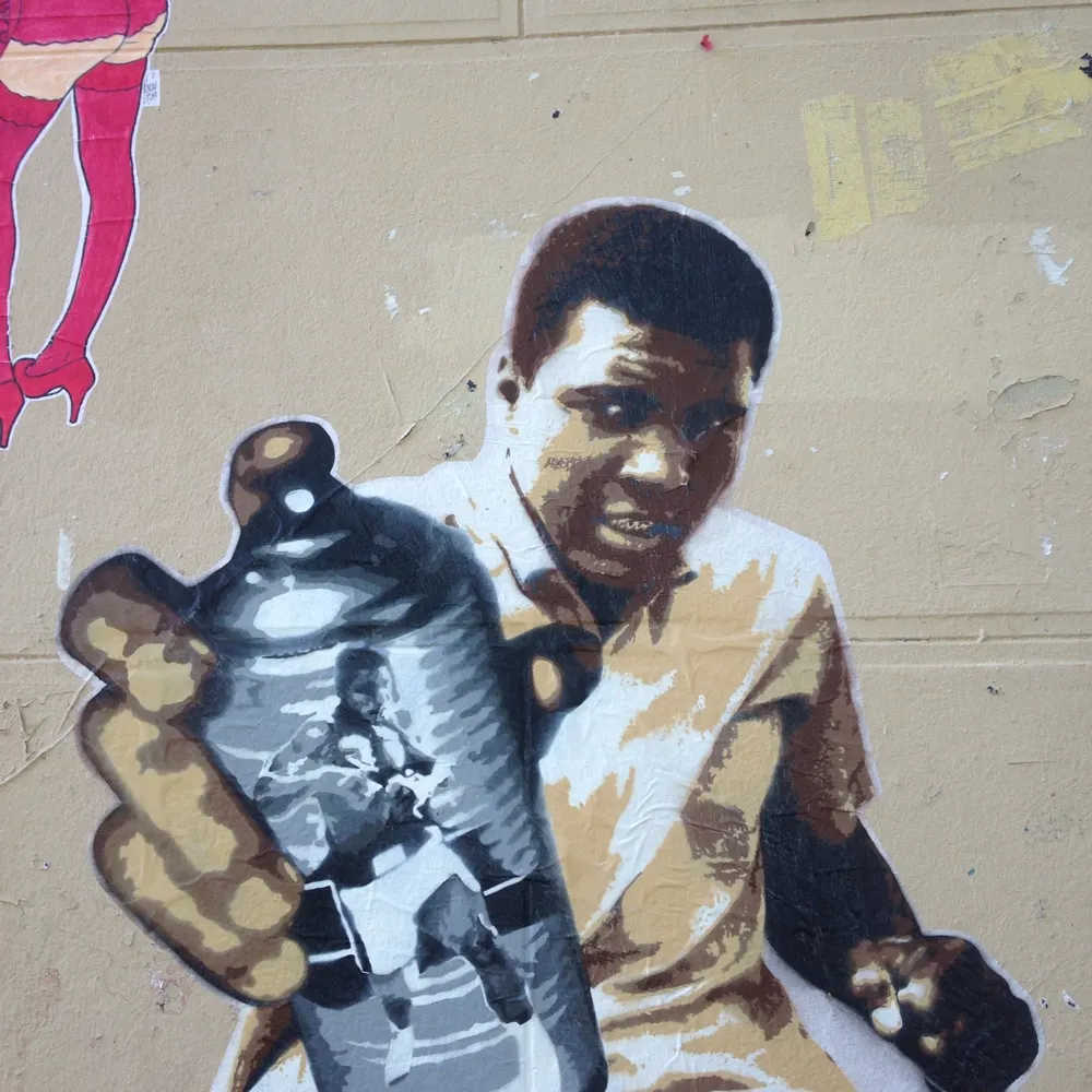 bigcat1727.bsky.social's profile picture