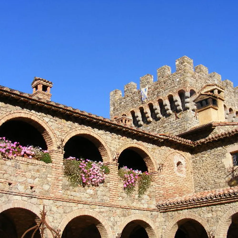 snaxlight.bsky.social's profile picture