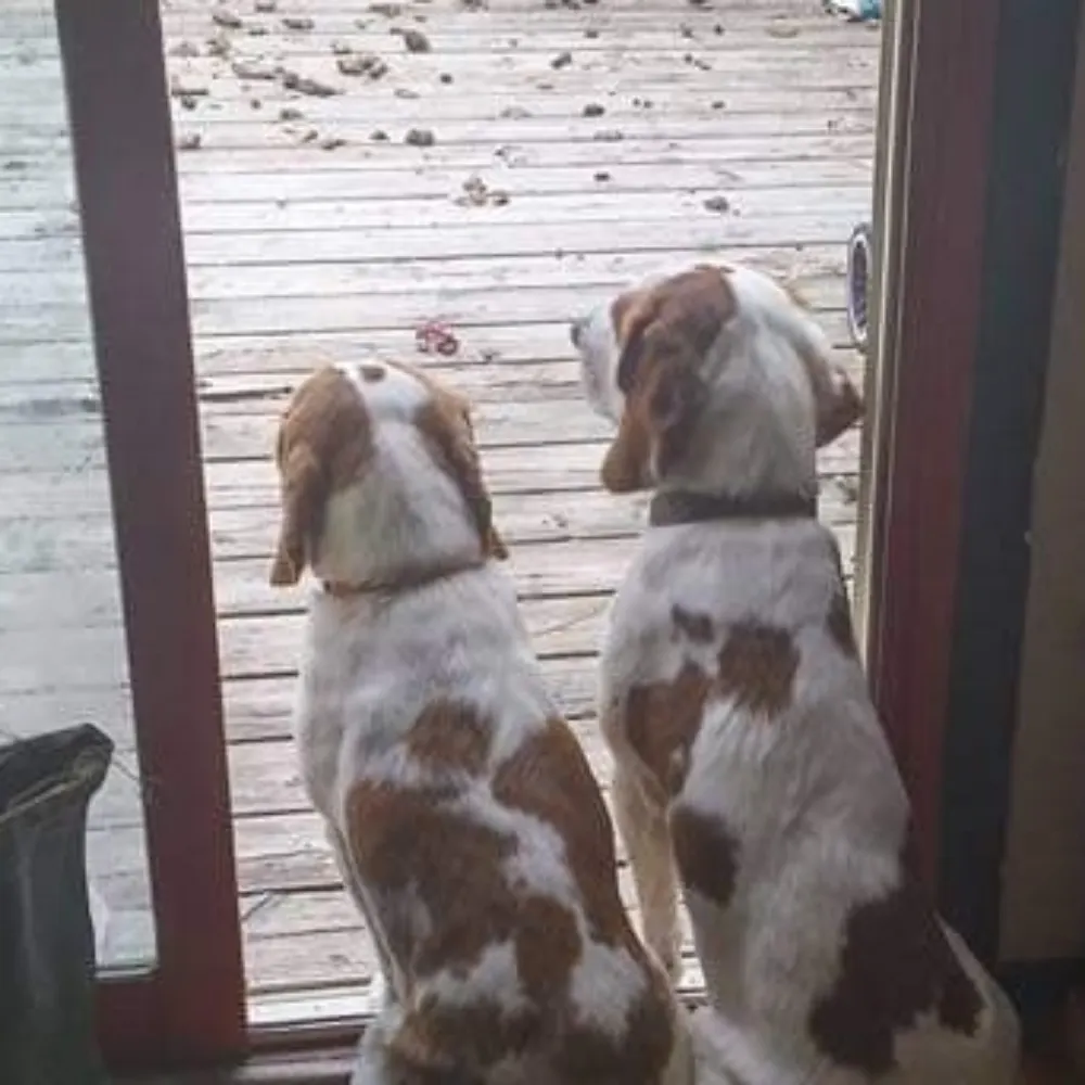 aging69ca.bsky.social's profile picture