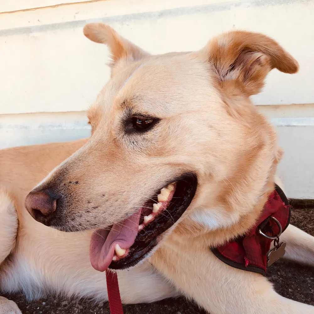 funmandave.bsky.social's profile picture