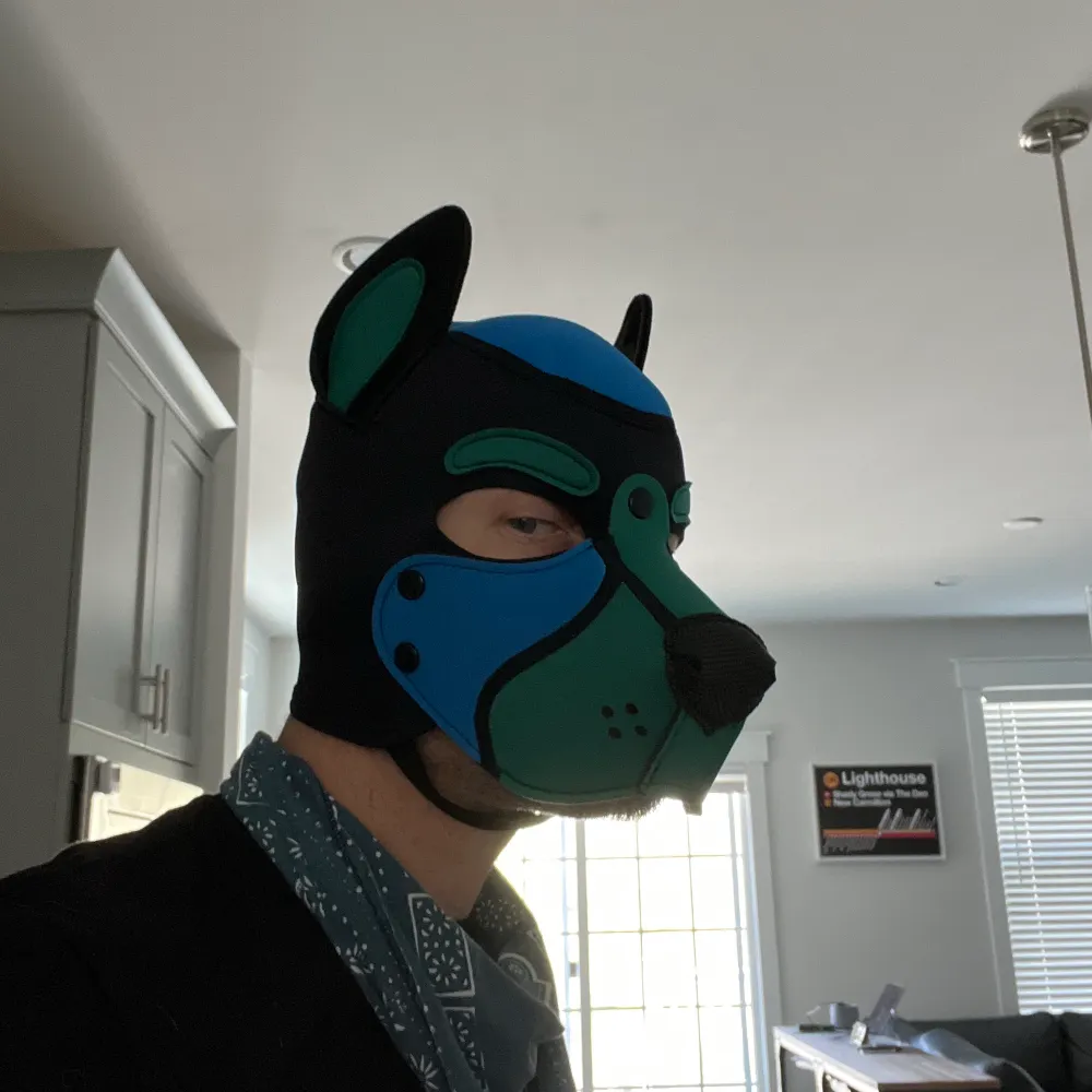 wolfmagedc.bsky.social's profile picture