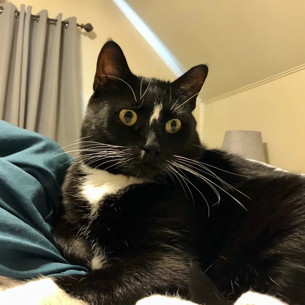 feralhusband.bsky.social's profile picture