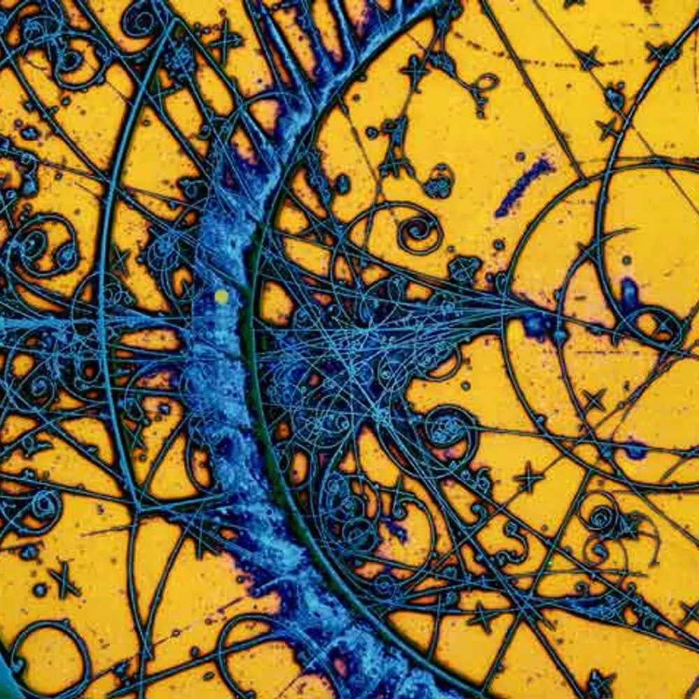 ntm.bsky.social's profile picture