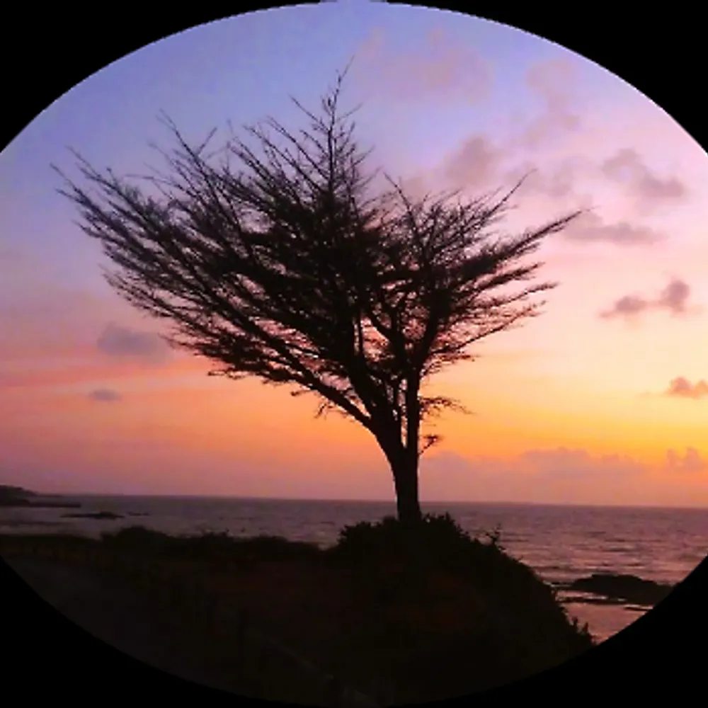 w-hope.bsky.social's profile picture