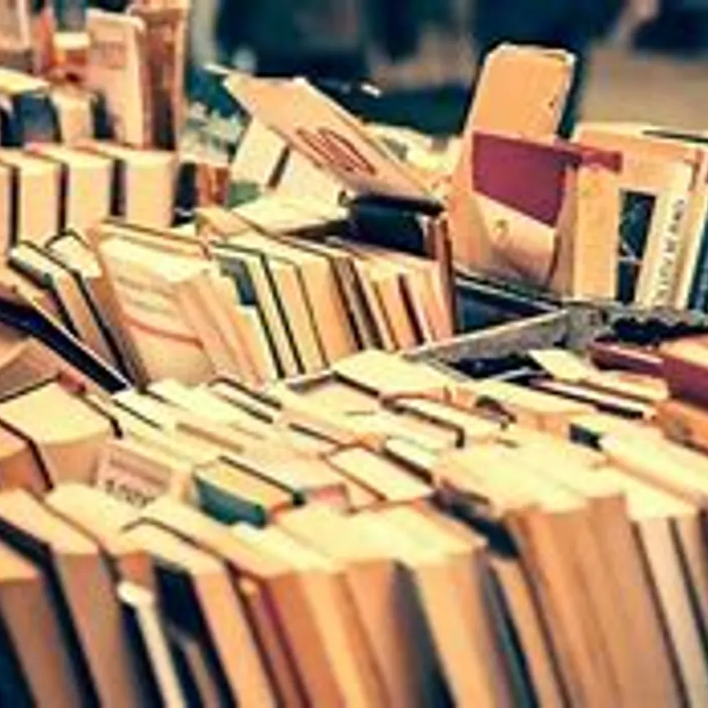 sommaroth.bsky.social's profile picture