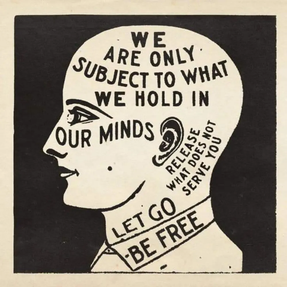 transparenteyeball.bsky.social's profile picture