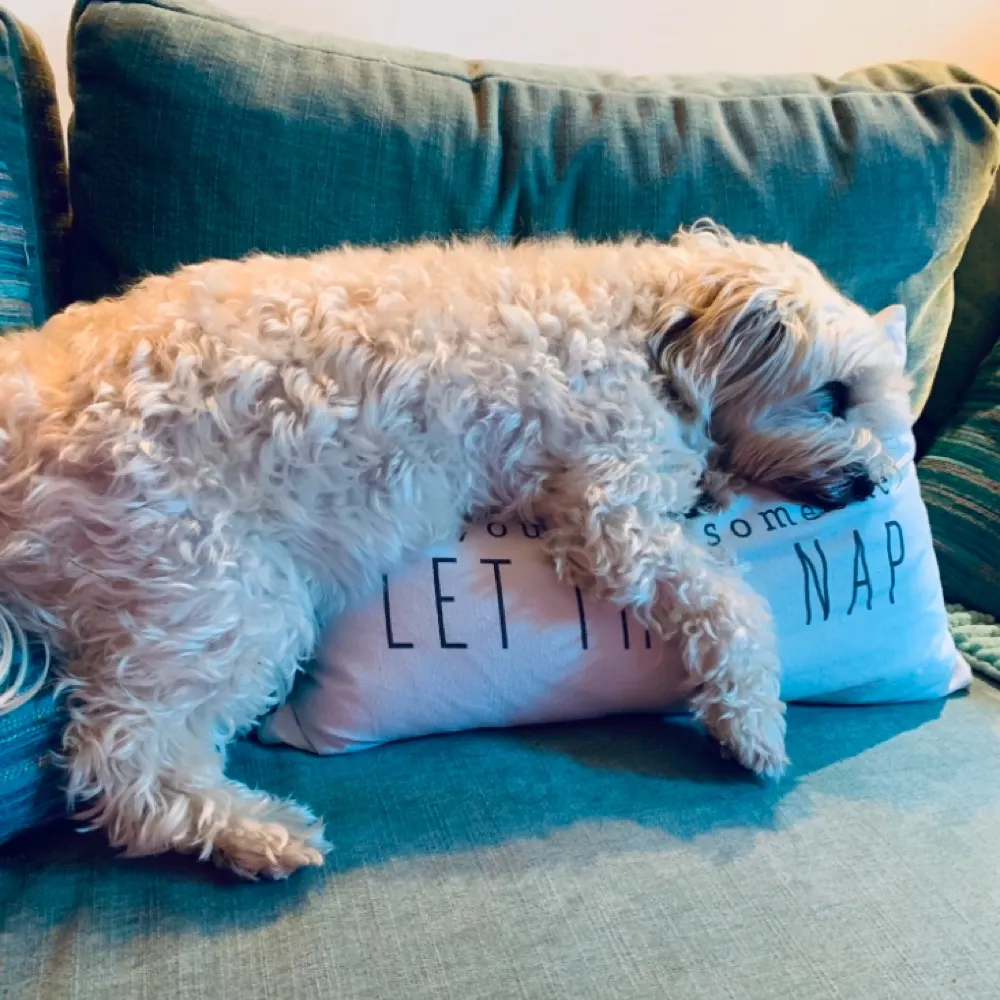 muddles1968.bsky.social's profile picture