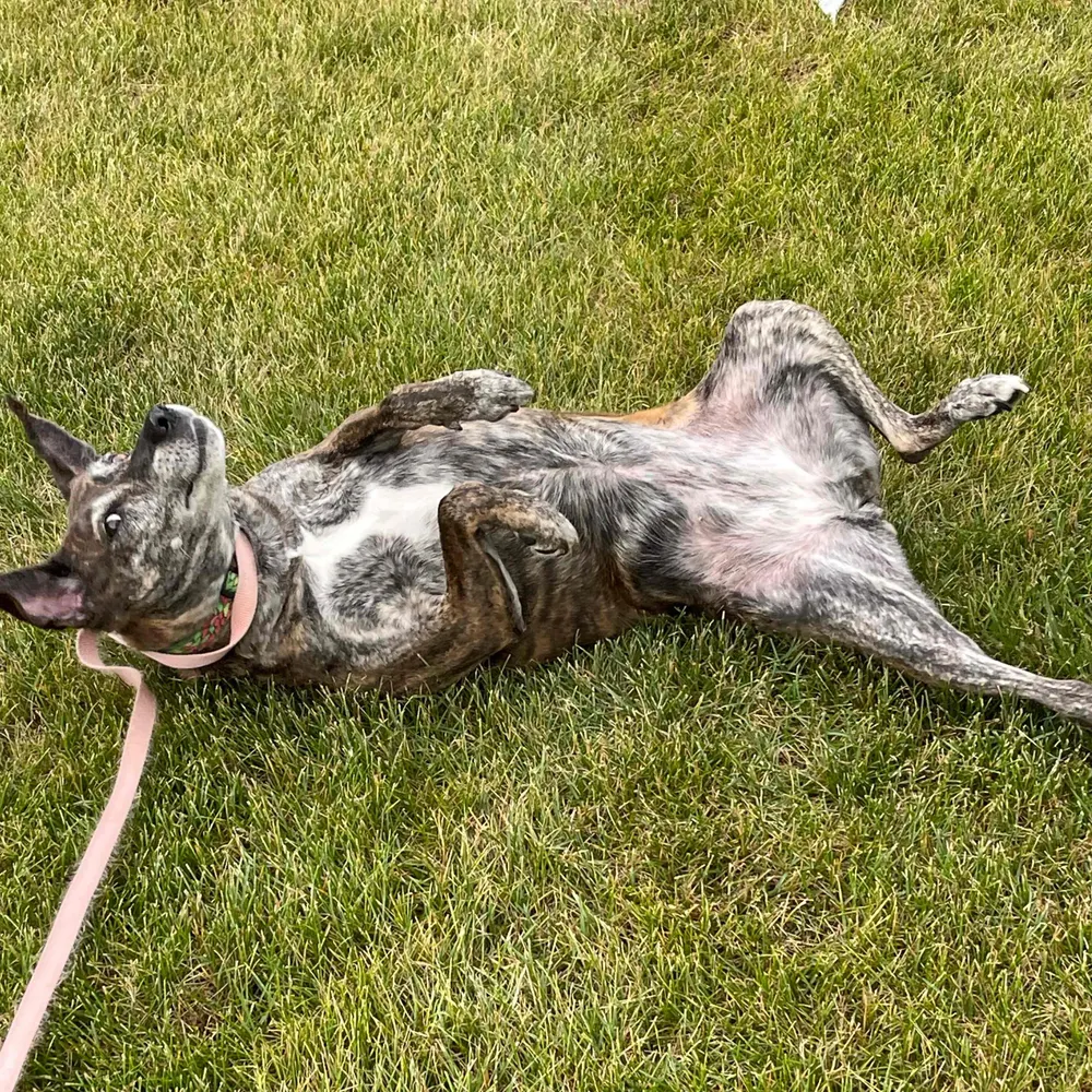 jennyil.bsky.social's profile picture