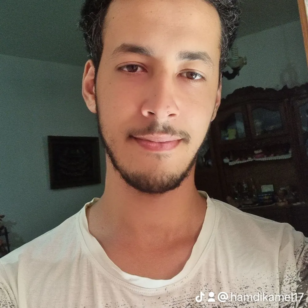 hamdi-beep4.bsky.social's profile picture