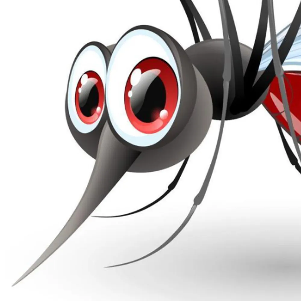 mustskeeter.bsky.social's profile picture