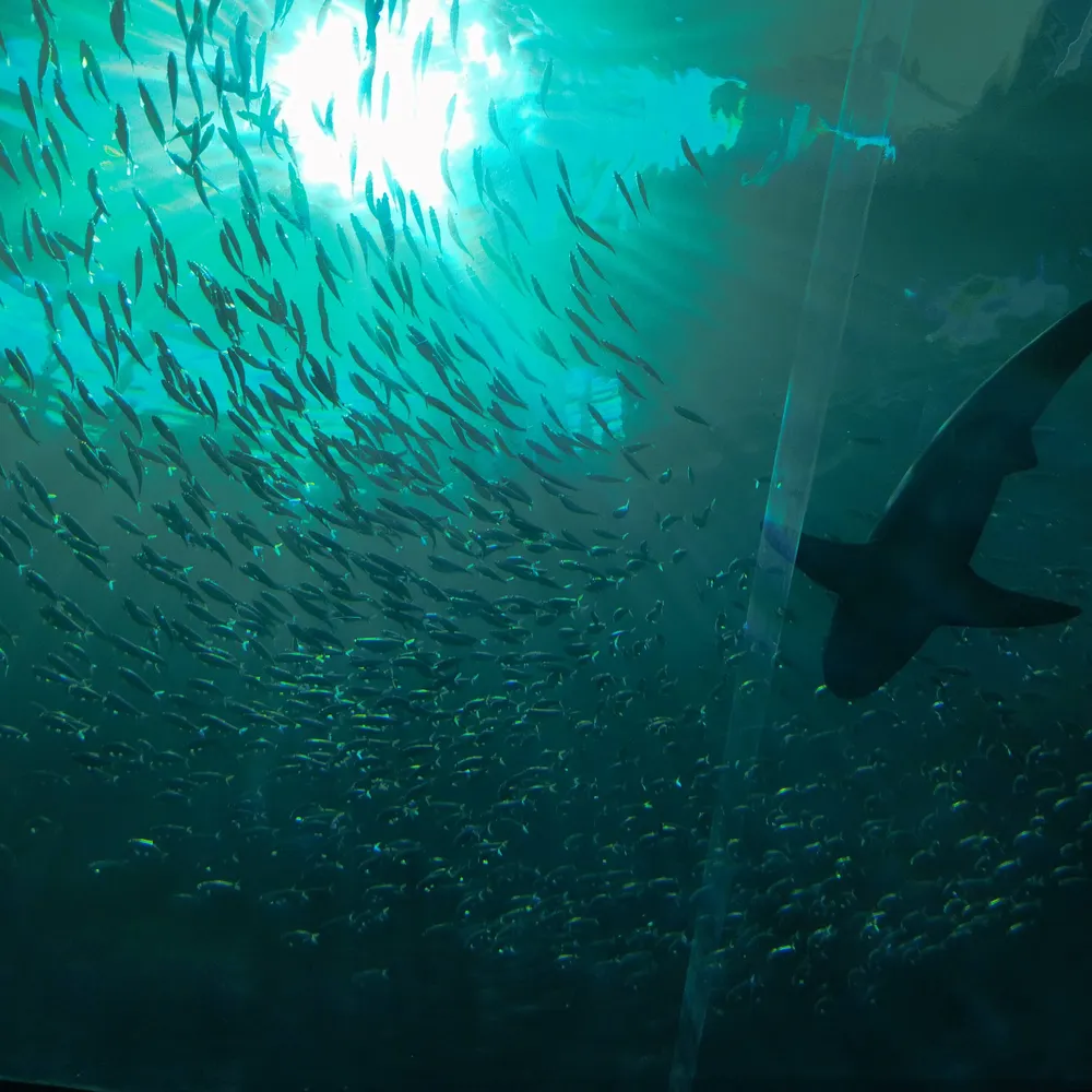 calvenhobbes.bsky.social's profile picture