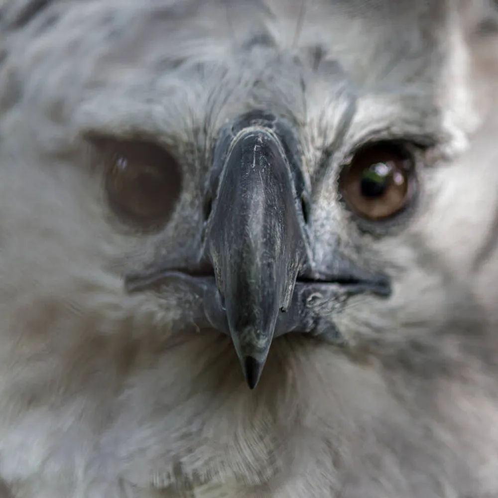 marcosti.bsky.social's profile picture