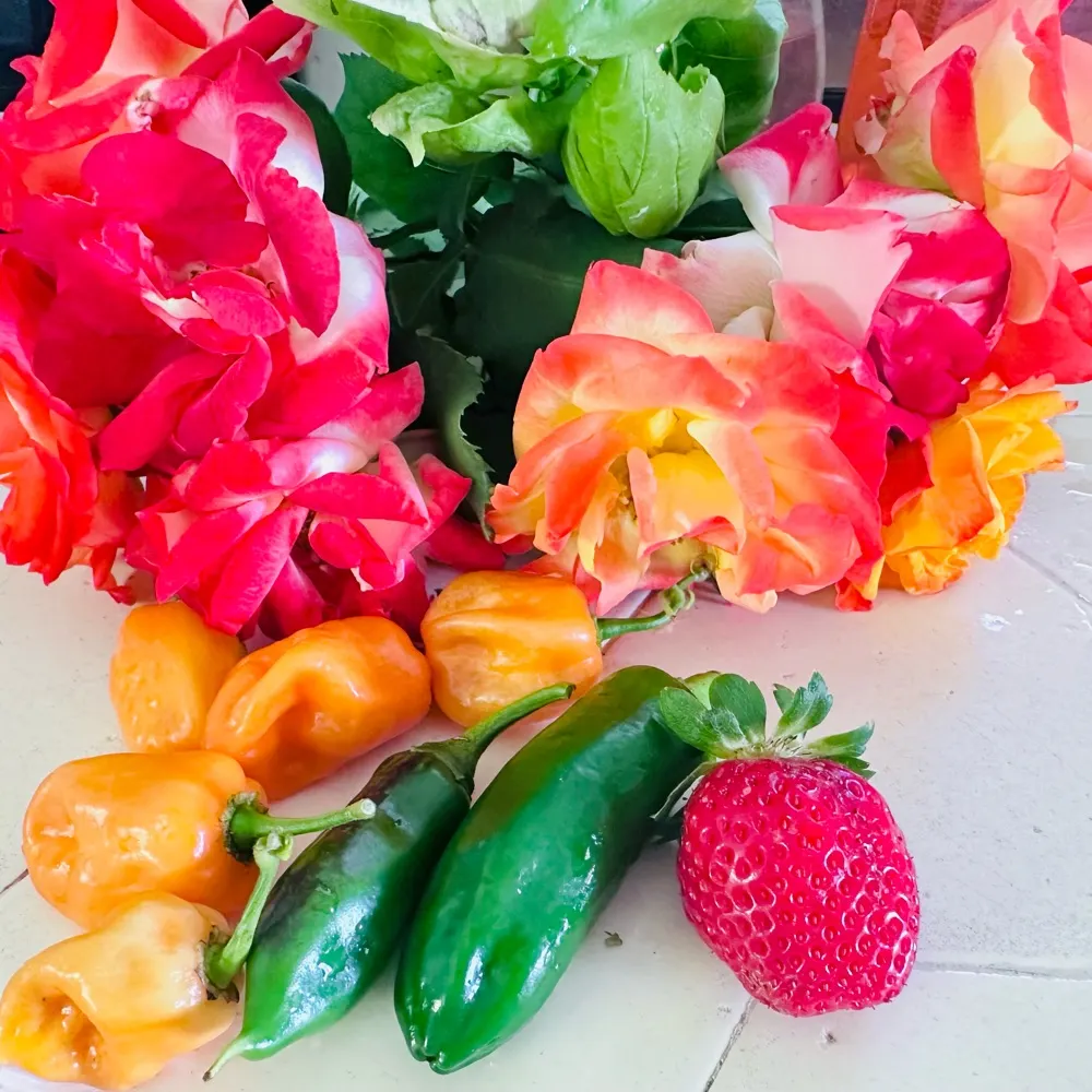 beaniesmom.bsky.social's profile picture