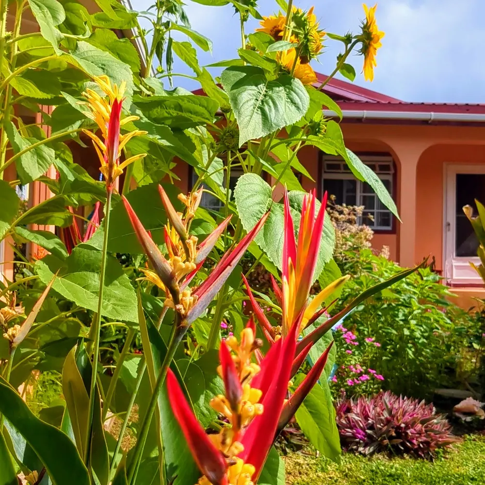 bumkz.bsky.social's profile picture