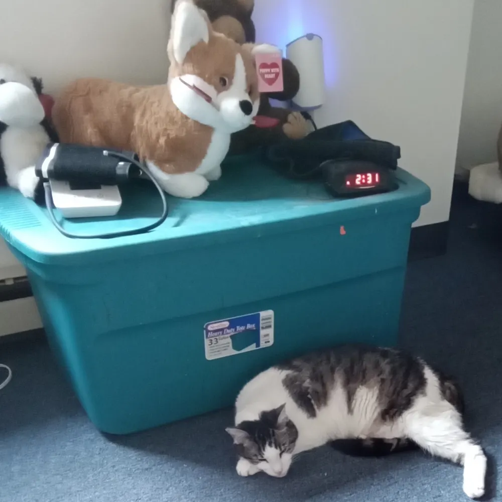 chuckishere.bsky.social's profile picture