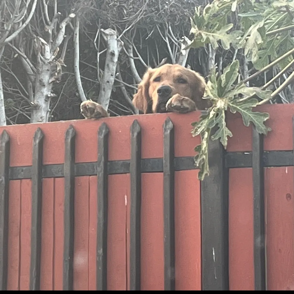 vcla85.bsky.social's profile picture