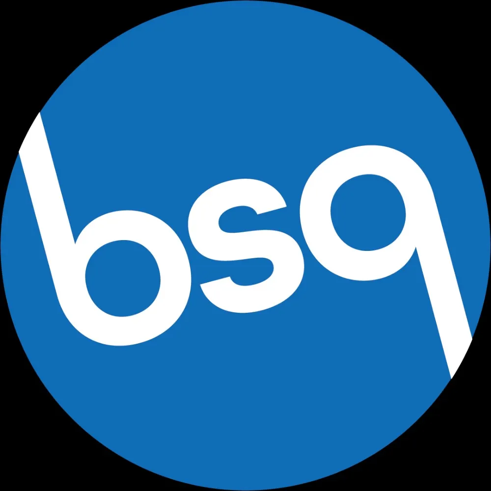 bsquiklehausen.com's profile picture
