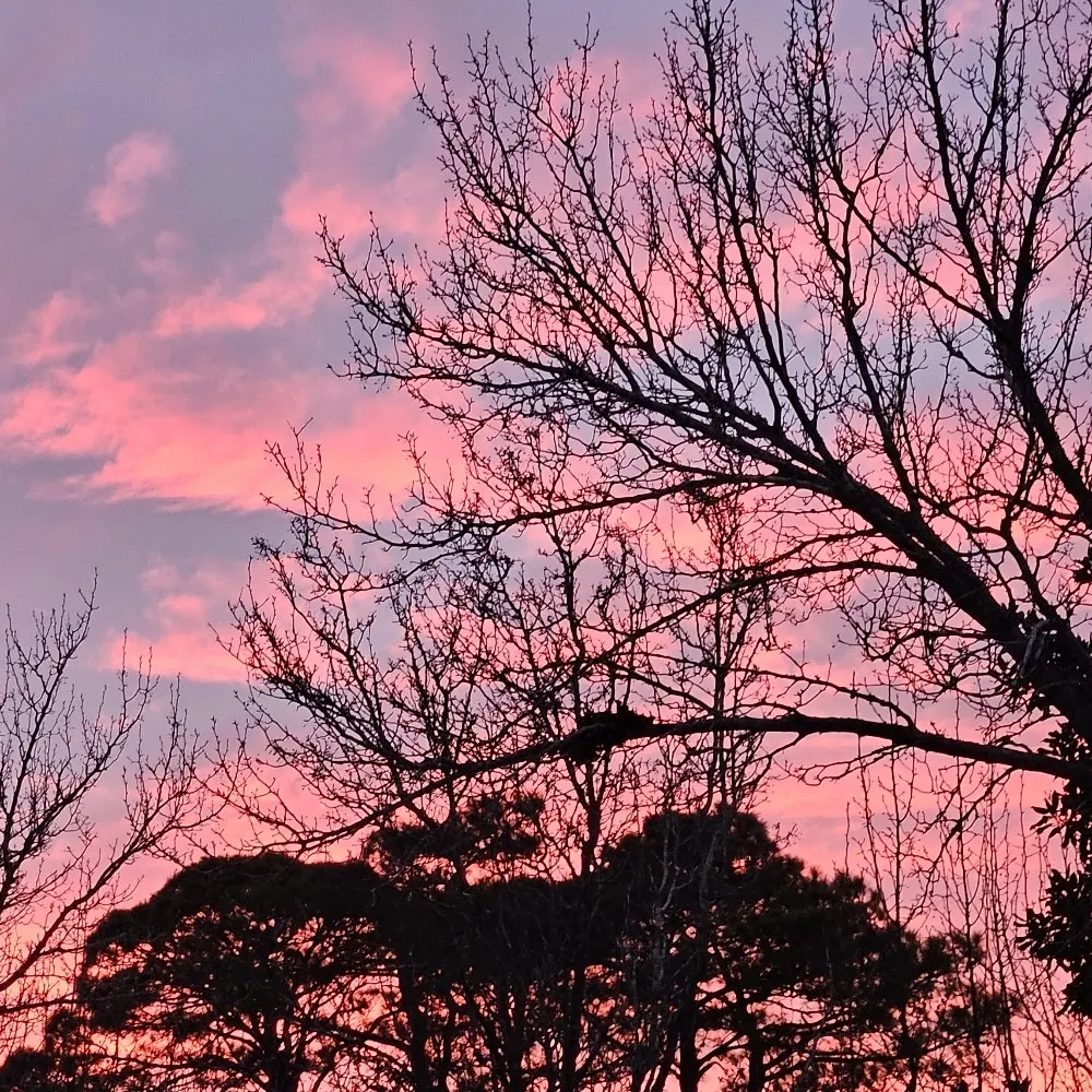 gramzi.bsky.social's profile picture